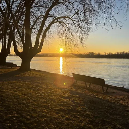 Apartment Gemuetliche Schlossblick In Am Rhein - Rheingau