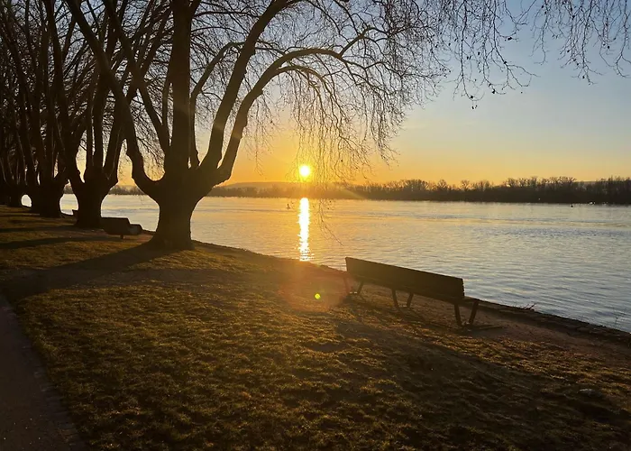 Apartment Gemuetliche Schlossblick In Am Rhein - Rheingau